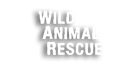 Wild Animal Rescue logo